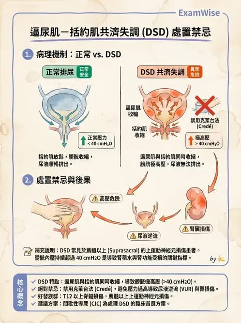 物治 - 功能評估與再教育 - AI 圖文解析預覽