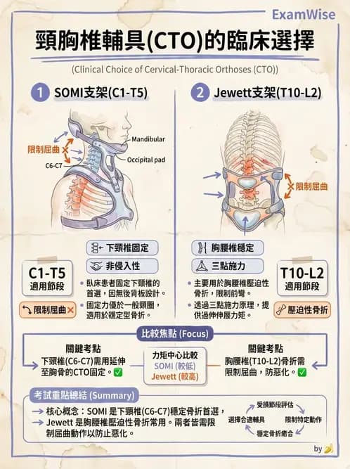 物治 - 裝具與矯具 - AI 圖文解析預覽