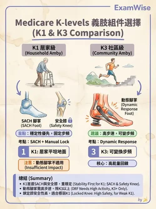 物治 - 義肢 - AI 圖文解析預覽