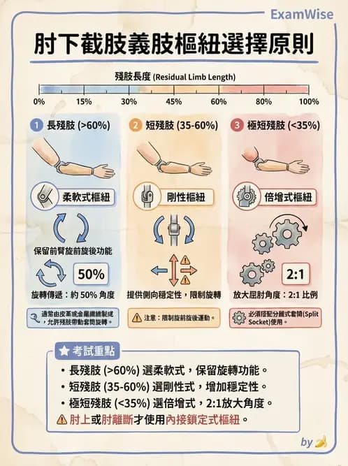 物治 - 義肢 - AI 圖文解析預覽
