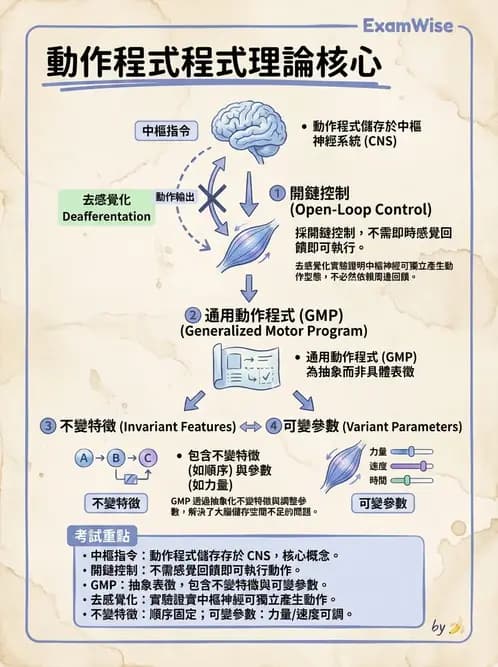 物治 - 動作控制理論 - AI 圖文解析預覽