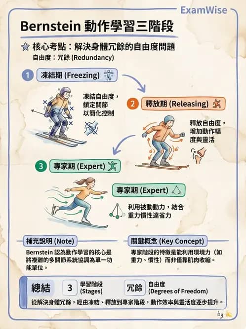 物治 - 動作學習 - AI 圖文解析預覽