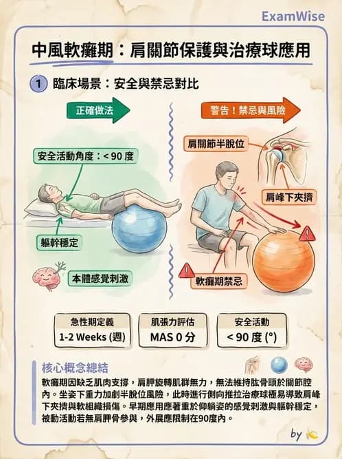 物治 - 腦中風治療手法應用 - AI 圖文解析預覽