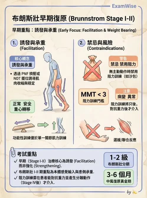 物治 - 腦中風治療手法應用 - AI 圖文解析預覽