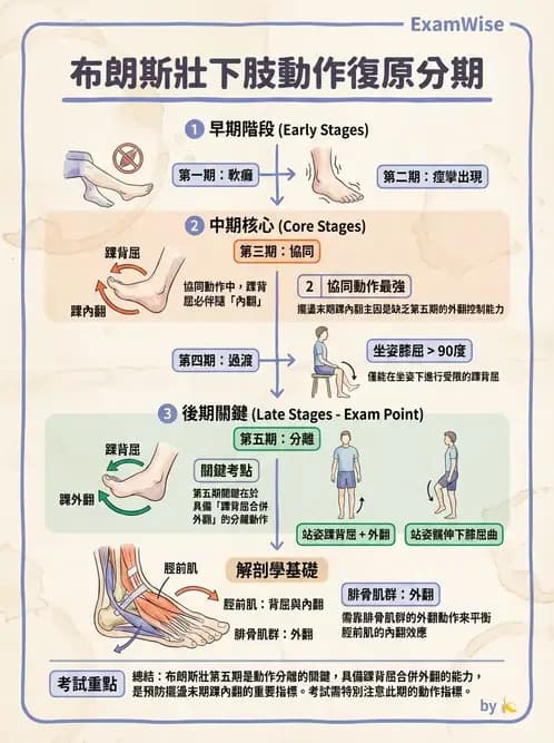 物治 - 腦中風動作評估與分期 - AI 圖文解析預覽