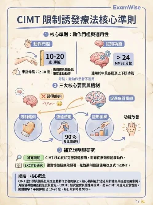 物治 - 腦中風上肢肩部與體適能 - AI 圖文解析預覽