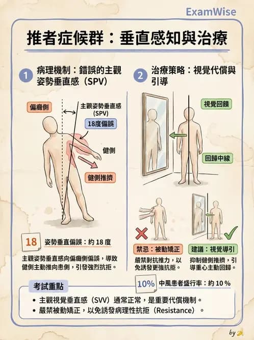 物治 - 腦中風姿勢控制平衡與轉位 - AI 圖文解析預覽