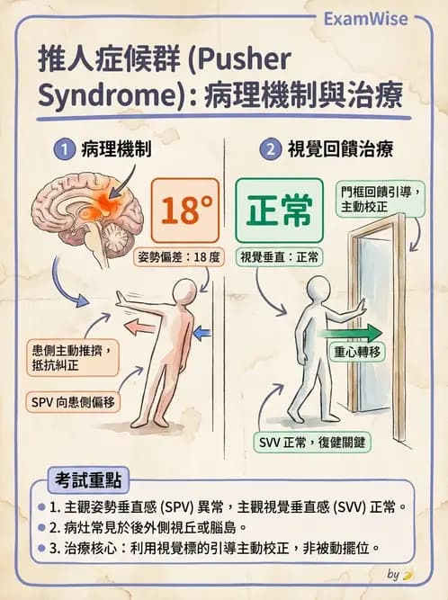 物治 - 腦中風姿勢控制平衡與轉位 - AI 圖文解析預覽