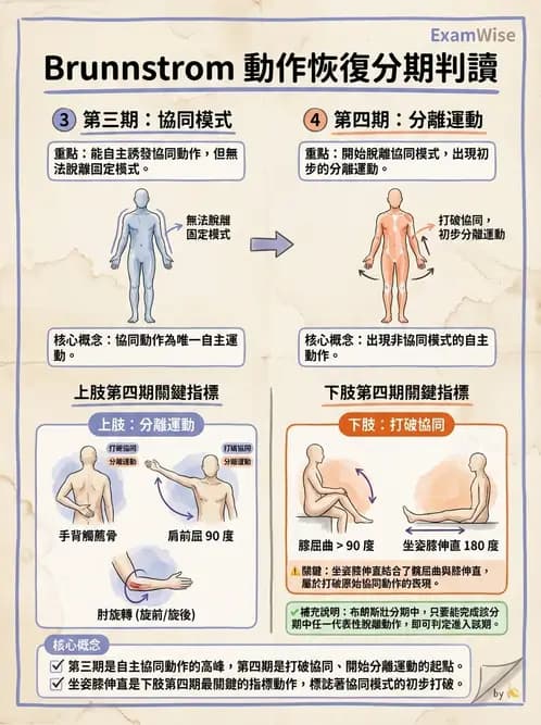 物治 - 腦中風動作評估與分期 - AI 圖文解析預覽