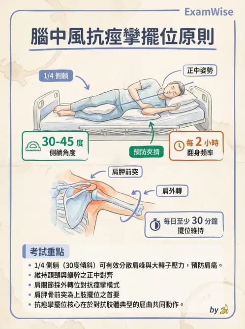 物治 - 腦中風治療手法應用 - AI 圖文解析預覽