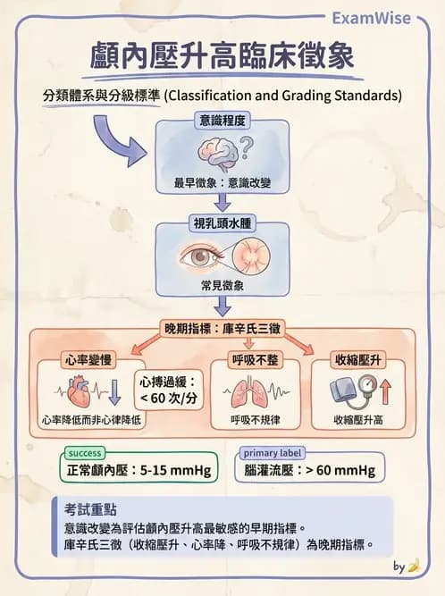 物治 - TBI病理評估與GCS - AI 圖文解析預覽