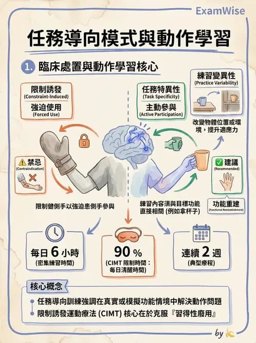 物治 - 腦中風上肢肩部與體適能 - AI 圖文解析預覽