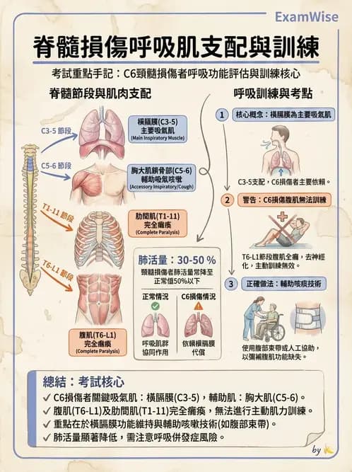 物治 - SCI併發症與呼吸管理 - AI 圖文解析預覽
