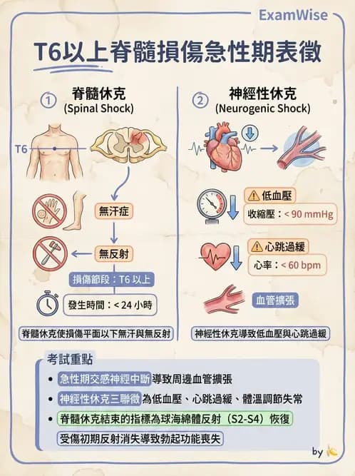 物治 - SCI評估分類與症候群 - AI 圖文解析預覽