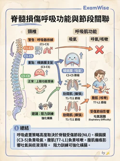物治 - SCI併發症與呼吸管理 - AI 圖文解析預覽