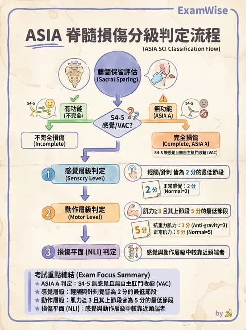 物治 - SCI評估分類與症候群 - AI 圖文解析預覽