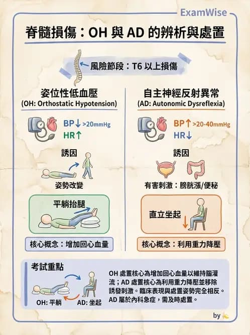 物治 - SCI併發症與呼吸管理 - AI 圖文解析預覽