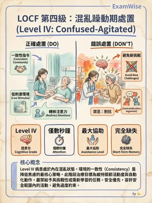 物治 - TBI LOCF分級與復健 - AI 圖文解析預覽