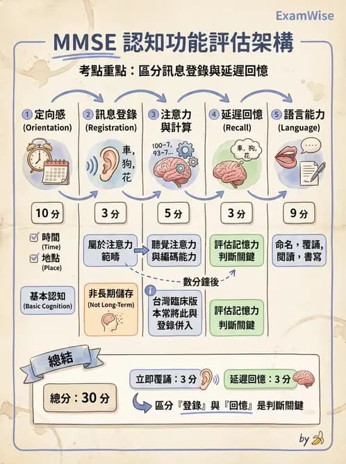 物治 - 失智症與認知退化 - AI 圖文解析預覽