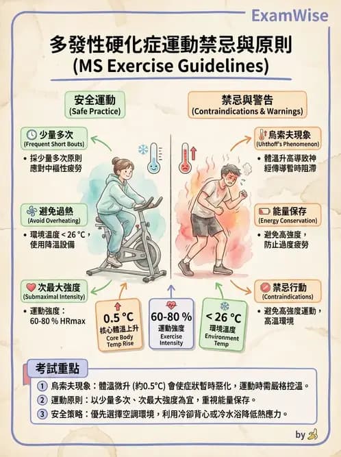 物治 - 多發性硬化症物理治療 - AI 圖文解析預覽