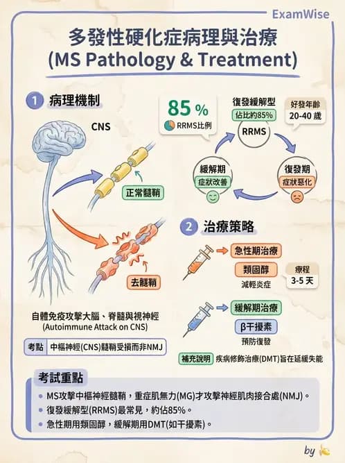 物治 - 多發性硬化症物理治療 - AI 圖文解析預覽