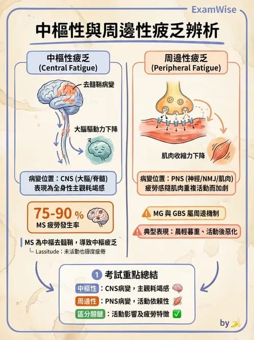 物治 - 多發性硬化症物理治療 - AI 圖文解析預覽