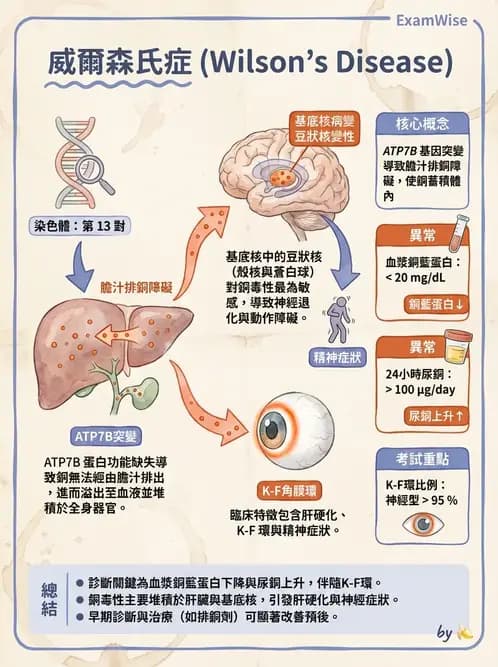 物治 - 運動神經元疾病與其他中樞疾病 - AI 圖文解析預覽