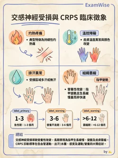 物治 - 周邊神經損傷與復健 - AI 圖文解析預覽