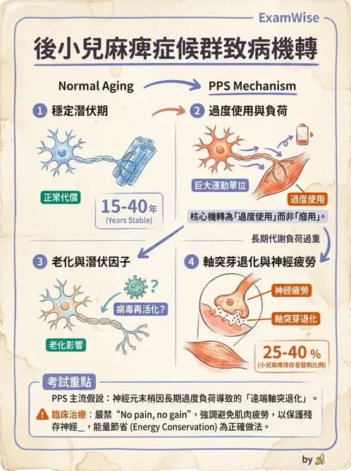 物治 - 神經肌肉疾病 - AI 圖文解析預覽