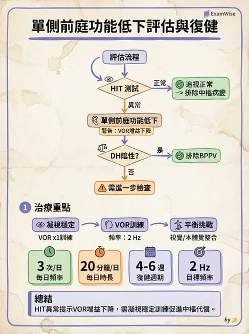物治 - 前庭系統與前庭復健 - AI 圖文解析預覽