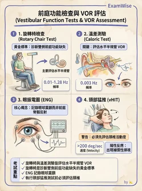 物治 - 前庭系統與前庭復健 - AI 圖文解析預覽