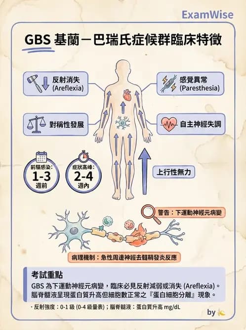 物治 - 神經肌肉疾病 - AI 圖文解析預覽