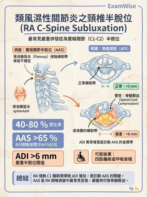 物治 - 頸椎評估與病理 - AI 圖文解析預覽