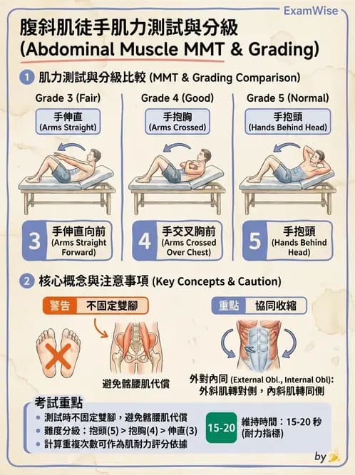 物治 - 腰椎穩定訓練與治療原則 - AI 圖文解析預覽