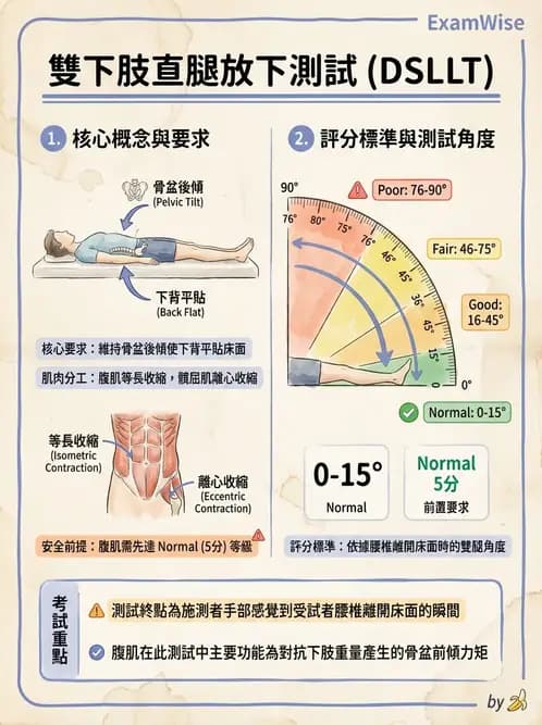 物治 - 腰椎穩定訓練與治療原則 - AI 圖文解析預覽