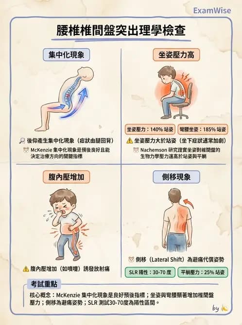 物治 - 腰椎椎間盤與脊椎狹窄 - AI 圖文解析預覽