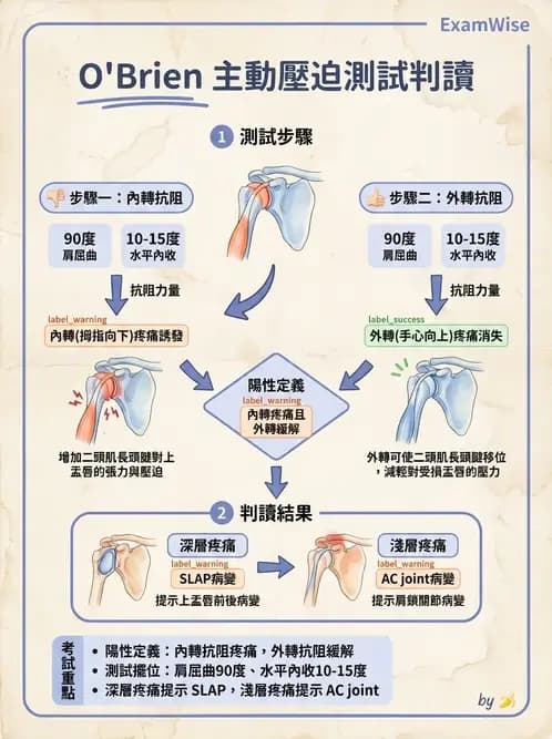 物治 - 肩關節不穩定與盂唇損傷 - AI 圖文解析預覽