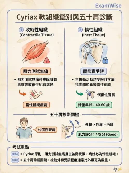 物治 - 冰凍肩與胸廓出口症候群 - AI 圖文解析預覽