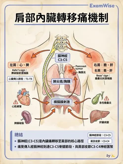 物治 - 初級照護與鑑別診斷 - AI 圖文解析預覽