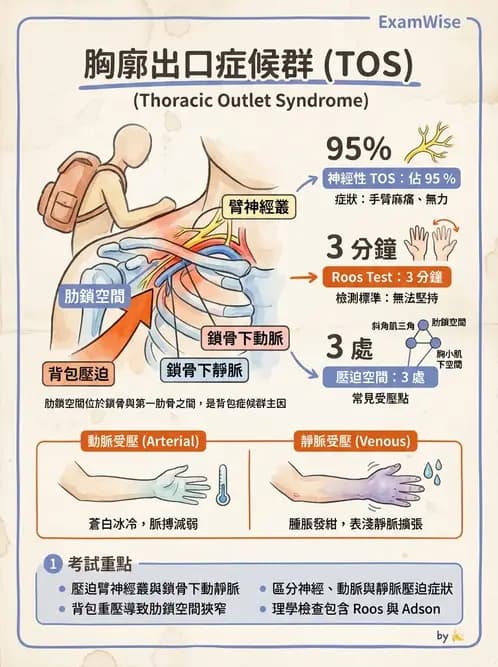 物治 - 冰凍肩與胸廓出口症候群 - AI 圖文解析預覽