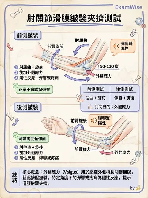 物治 - 肘及前臂關節 - AI 圖文解析預覽
