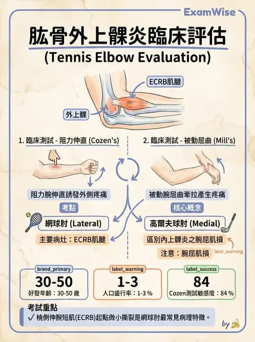 物治 - 肘及前臂關節 - AI 圖文解析預覽