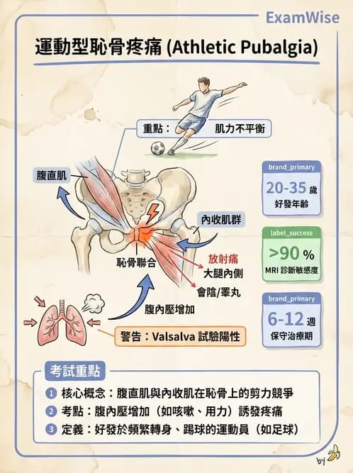 物治 - 髖關節病變與手術復健 - AI 圖文解析預覽