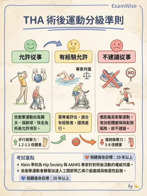 物治 - 髖關節病變與手術復健 - AI 圖文解析預覽