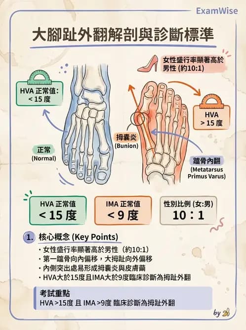物治 - 足部病變與輔具評估 - AI 圖文解析預覽
