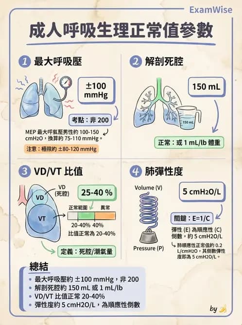 物治 - 呼吸解剖、生理與力學 - AI 圖文解析預覽