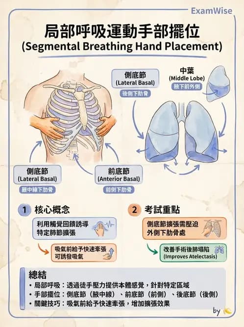 物治 - 氣道廓清與呼吸訓練技術 - AI 圖文解析預覽