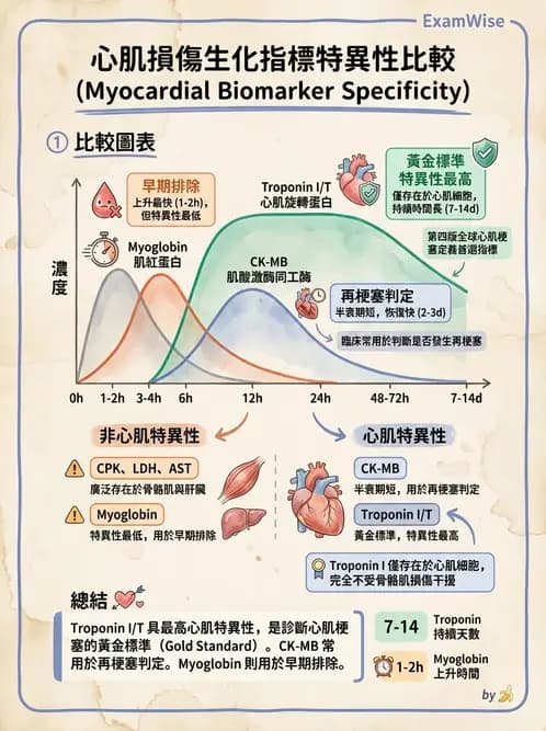 物治 - 心臟診斷工具與運動測試 - AI 圖文解析預覽