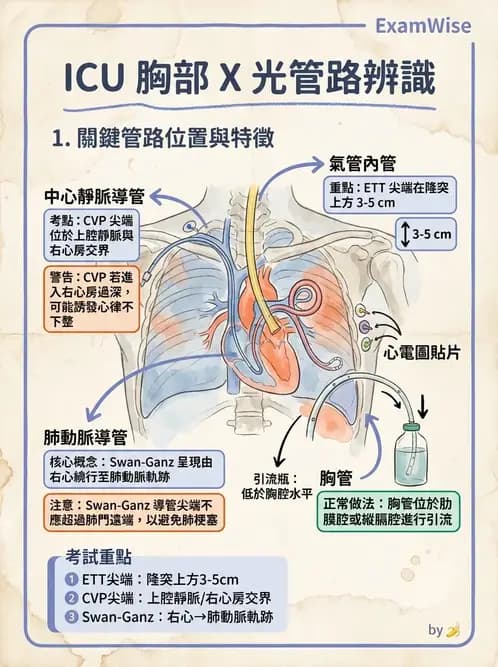 物治 - 心臟診斷工具與運動測試 - AI 圖文解析預覽