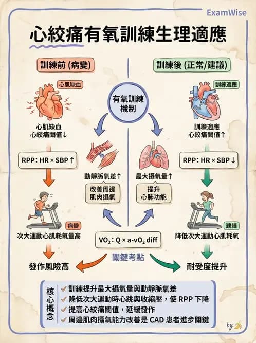 物治 - 心臟復健與運動處方 - AI 圖文解析預覽